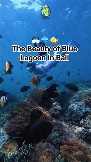 The Beauty of Blue Lagoon in Bali 😱 #trendingshorts #shorts #bluelagoon #nature #baliescape