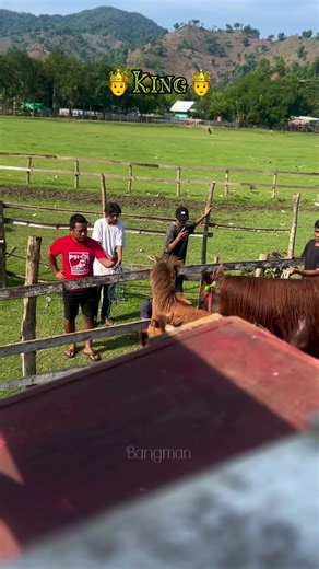 بدمیزاج،🕺🕺422 (@jaan...422)’s videos with original sound - 💫 Sanam 💫