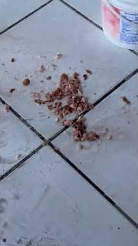 Hungry children, they suffer a lot, they eat little and they eat a little.