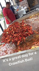 Hollywood Casino Gulf Coast on Reels