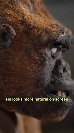 He’sOlder Than Almost Everyone You Know