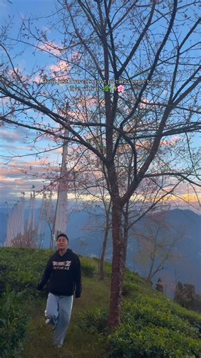 Don’t travel just for pictures — come to Sikkim and live like a local. Experience our traditions, culture, and delicious local food. Travel the local way, visit new places, explore our villages, and meet the people who call them home. When you return, you’ll take back more than memories — you’ll carry a piece of Sikkim’s way of life with you. #sikkim #sikkimdiaries #sikkimtrip #sikkimtourism #sikkimexpress #northeast_india #food #culture #travelling #trip #hill #nature #instagram | Rinchen Wangd