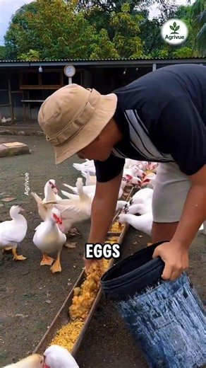 He Turned Waste Into a Never-Ending Supply of Animal Feed.