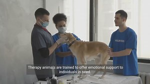 The Healing Power of Animal Therapy - A Documentary