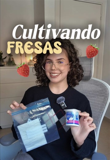 Salvando nuestras pequeñas semillas de fresas