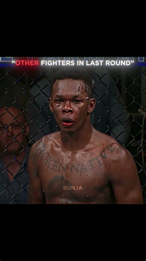 Not A Single Scratch boxing ufc mma khabibnurmagomedov khabib #boxingshorts #shorts