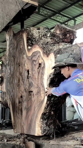 Rare Wood Patterns Revealed While Cutting Branches