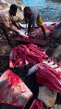 Exotic aquatic species.