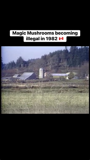 Magic Mushrooms becoming illegal in Canada in 1982. credit: cbc | Old Canada Series