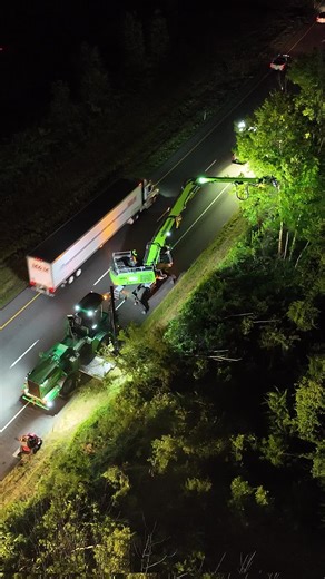 Stylish Night Shift in Tree Care Industry