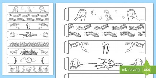 Food Chain Paper Chain Activity