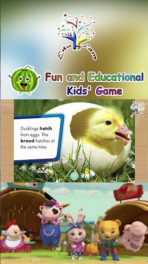 🦆💦 Baby Ducks! | Meet the Fluffy Ducklings at the Pond! | Animal Safari 🌼✨