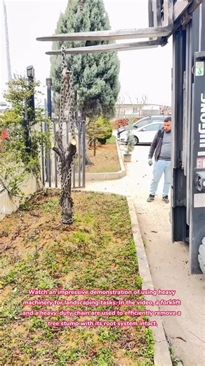 🌳 Forklift vs. Tree Stump: The Ultimate Landscaping Hack #tools #tips #tricks #lifehacks #how #hack