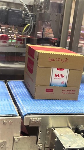 Auto Packing Machine