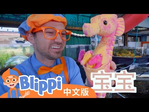 和布利皮学习水下生物 | Blippi Learns About Sea Creatures - Meet the Ocean Friends | Blippi 中文版 | 儿童教育视频 | 实景探索