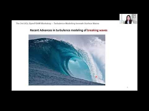 Turbulence modelling beneath surface waves (Yuzhu Li, Technical University of Denmark)