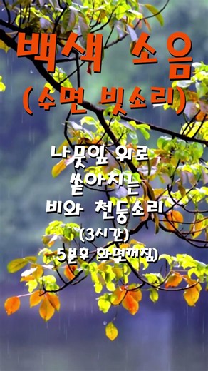 나뭇잎 빗소리#백색소음#백색소음ASMR#빗소리#White Noise#빗소리#파도소리#바람소리