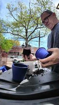 end of my coffee cup time for a planter