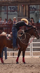 37K views · 1.4K reactions | Start to finish.  Cheyenne Frontier Days™ | Shad Mayfield - PRCA Athlete | Facebook