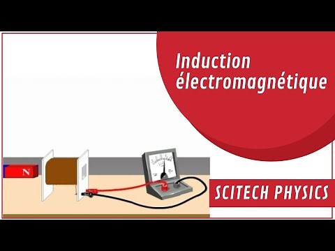 Induction électromagnétique | Electromagnetic Induction | Animation Physique | Physics Animation |