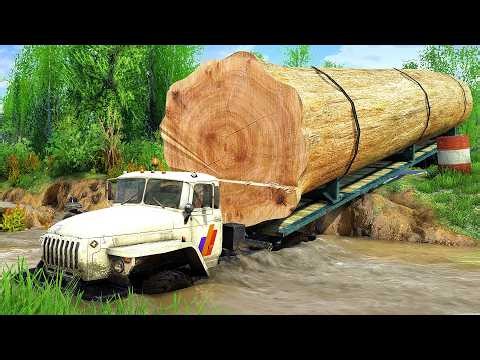 Logging Routes EXPOSED The Hidden Dangers You Need to Know