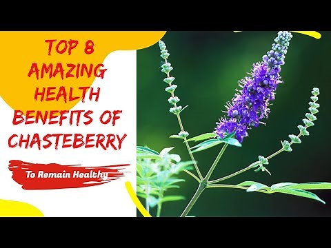 Top 10 Amazing Health Benefits Of Chasteberry