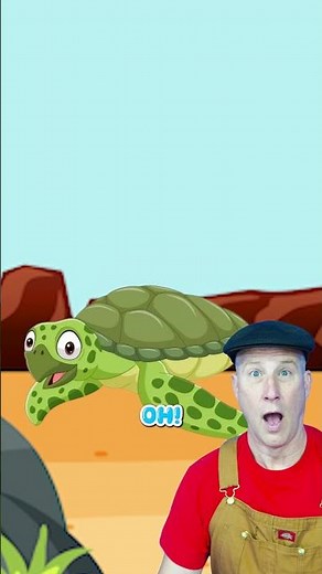 Did You Know Turtle Shells Feel Touch?