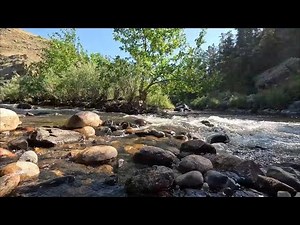 3 Hours | Colorado Mountain River – Gentle Stream Sounds for Sleep, Meditation & Focus | 4K