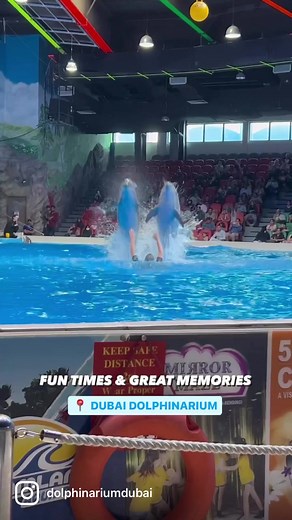 All the Fun Indoor Attractions here 👇🏻 👉 Dolphin & Seal Show 👉 Swim with Dolphins 👉 Exotic Bird Show 👉 Feed the Birds 👉 Mirror Maze 👉 5D Cinema 👉 Art Factory And more… Don’t forget to take home a photo with the dolphins and birds! #dubaitours #ilovedubai #dubaidestinations #iloveuae #dubaikids #dubaikidsactivities #creekpark