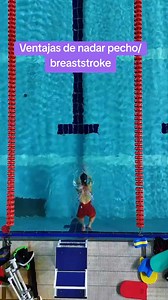 Video de @eliswimming . . . #natacion #swimming #swim #swimmer #triathlon #deporte #nadar #piscina #triatlon #sport #aguasabiertas #nadadores #openwater #swimmers #swimmingpool #entrenamiento #swimtraining #nadador #fitness #training #openwaterswimming #swimbikerun #ironman #verano #playa #mar #beach #summer #swimmingmemes #memes | Lo que callamos los nadadores