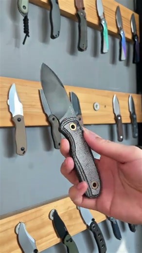 Get Ready for Adventure The Drop Bear Fix Lineup Has Arrived!