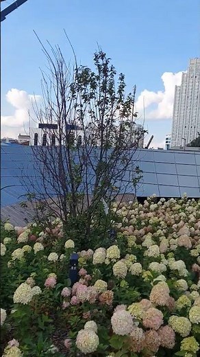 Yekaterinburg - September 16, 2025 - Iset River Embankment - UMMC Arena #Russia #Yekaterinburg #2025