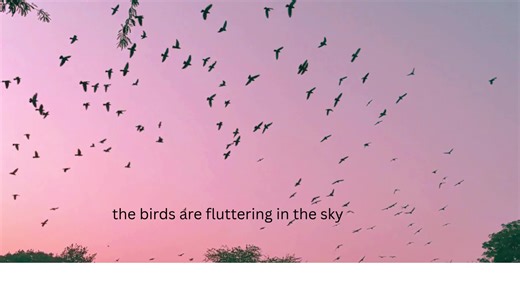 "Beautiful Birds Flying in the Sky – Nature’s Peaceful Dance"