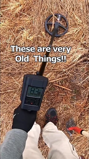 Exploring Old Homestead Finds with Metal Detecting