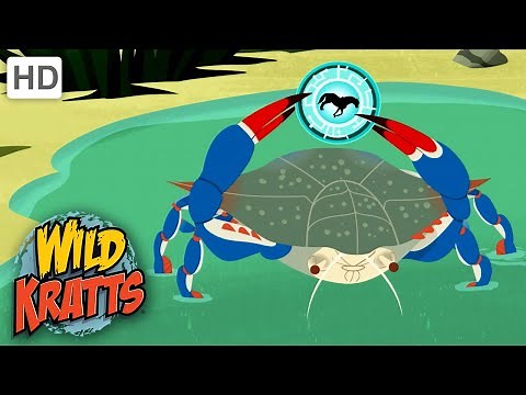 Wild Kratts | House Keeping |Creature Power Disk