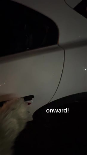 Waymo's Innovative Self-Driving Technology Explained