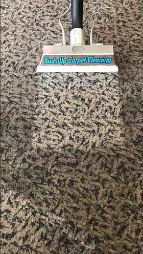 Watch This Carpet Transform! Hot Water Extraction for the Win