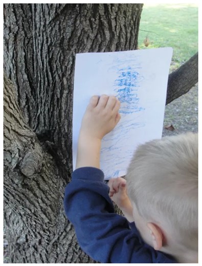 Trees Lesson Plan for Elementary