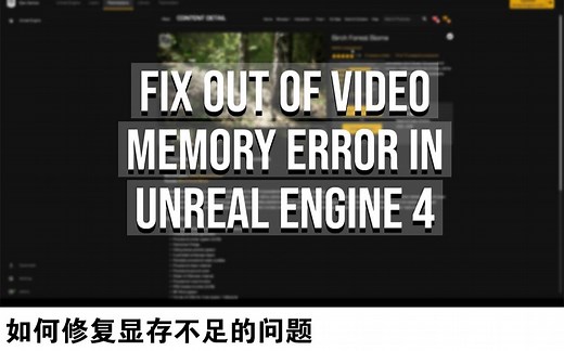 【功能】如何修复显存不足的问题