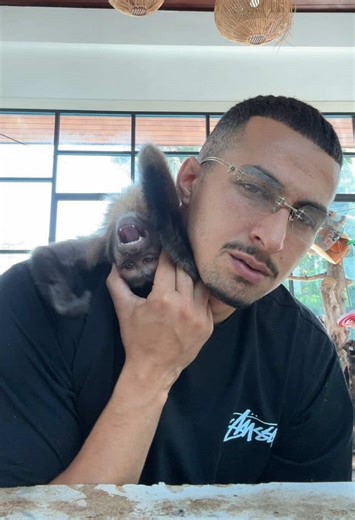 Vidéos de Tarzan DZ 🦍 (@tarzandz_) avec original sound - will kim