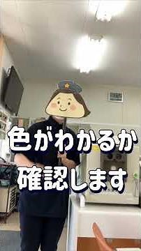 教習所（自動車学校）の視力検査について