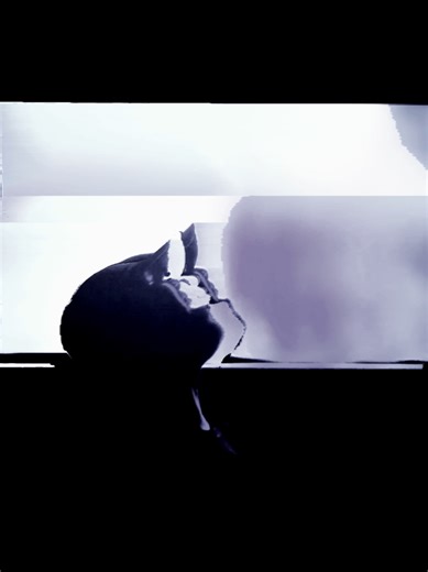 Abrázame #fyp #parati #camila