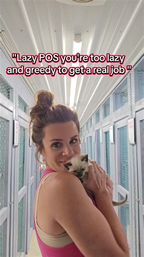 Shout out to the weed dealing lady living in her camper who had the time to message me about how I'm too lazy and greedy to get a "REAL" JOB. 😂 #mainecoon #mainecoonkitten #mainecoonlovers #kitten | Action Farms Maine Coons