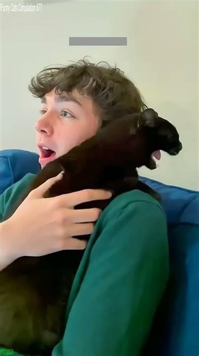 Funny Cats 2024 🐈‍⬛ funny cats fighting 🐕 # Ep 9485