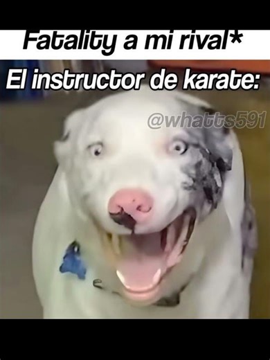 EL instructor de karate 💀 #memes #shortsviral #shorts