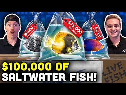 $100,000 Saltwater Fish Unboxing! RARE and UNIQUE Saltwater Species!