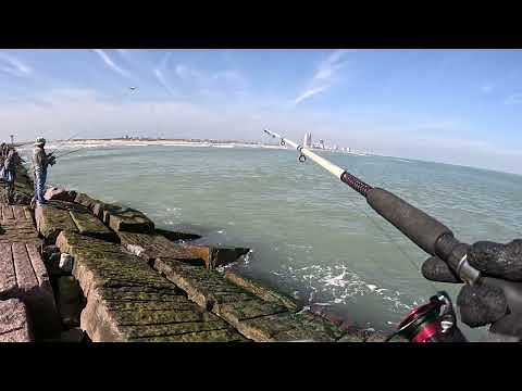 Fishing South Padre Island Jetties