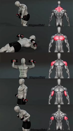 5 Dumbbell Exercises to Build Your Entire Upper Body 💪 #Shorts