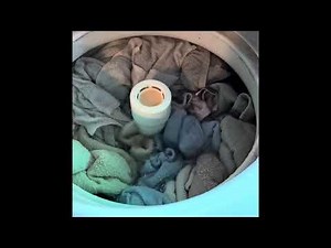 Simpson Encore 806 Washing Machine