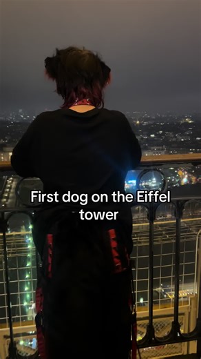 First Dog on the Eiffel Tower Adventure